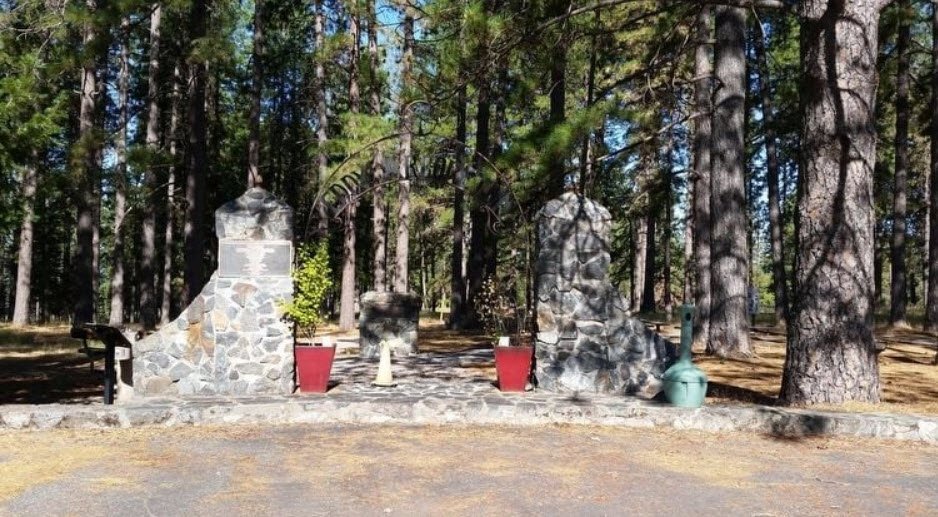 Eddy Arboretum at the Institute of Forest Genetics, United States